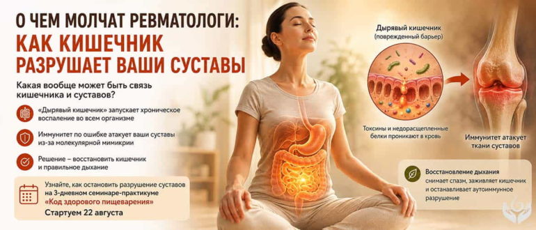 Инфографика о связи кишечника и суставов: поврежденный кишечный барьер, хроническое воспаление и возможное влияние иммунных реакций на суставные ткани. Женщина с визуализацией пищеварительной системы, сустав колена и информация о семинаре «Код здорового пищеварения», стартующем 22 августа.