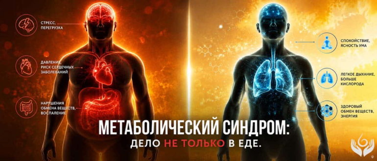 Иллюстрация влияния метаболического синдрома и гипоксии на организм человека.