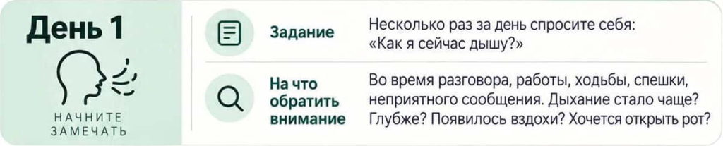 Задание на первый день: начните замечать как вы сейчас дышите. Во время разговора, ходьбы, работы.