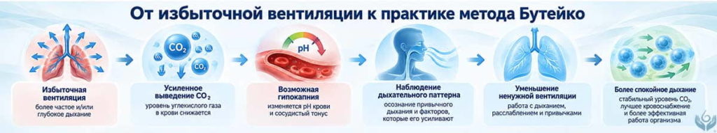 Схема перехода от избыточной вентиляции и усиленного выведения CO₂ к наблюдению за дыхательным паттерном, уменьшению ненужной вентиляции и более спокойному дыханию по методу Бутейко