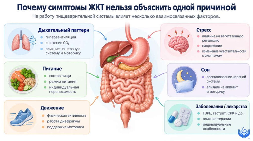 Инфографика о факторах, влияющих на симптомы ЖКТ: дыхательный паттерн, стресс, питание, сон, движение, заболевания и лекарства